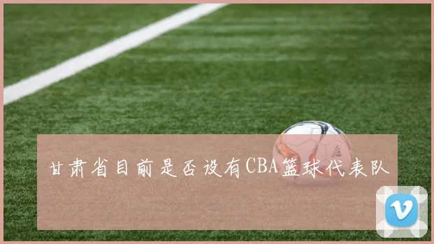 甘肃省目前是否设有CBA篮球代表队