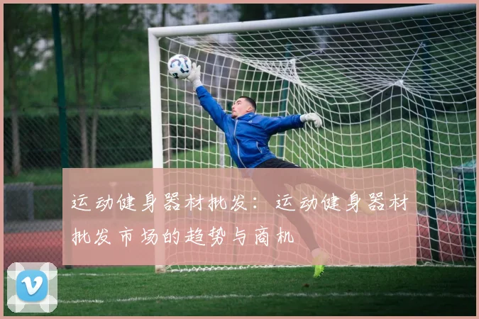 运动健身器材批发:运动健身器材批发市场的趋势与商机