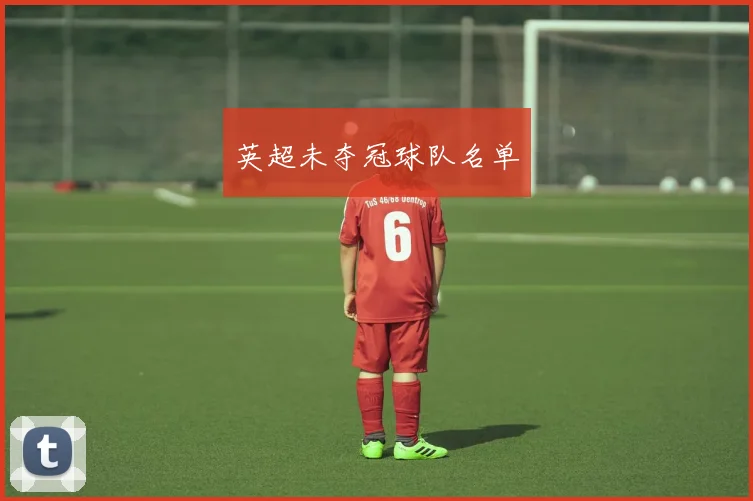 英超未夺冠球队名单