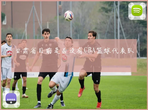 甘肃省目前是否设有CBA篮球代表队